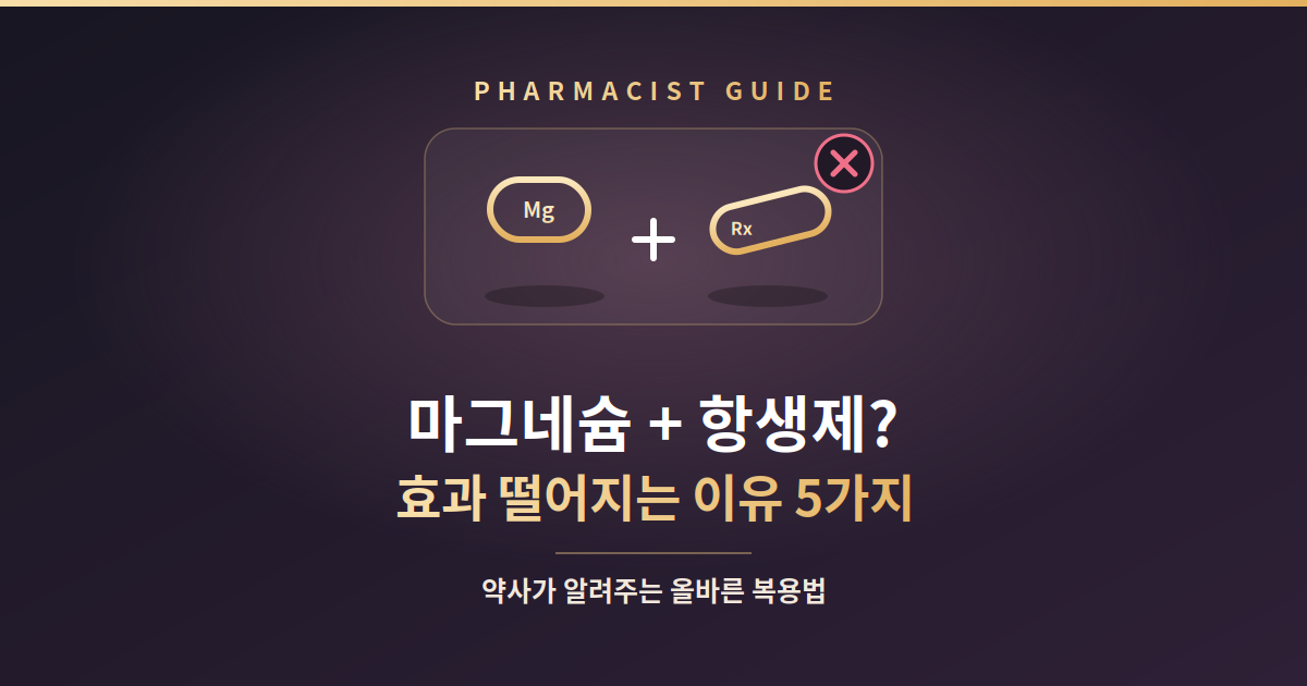 마그네슘 항생제 같이 먹으면 안되는 5가지 이유 썸네일