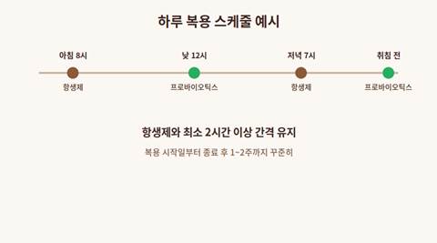 프로바이오틱스 항생제 2시간 간격 복용 스케줄표