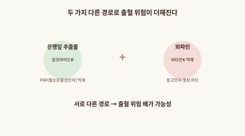 은행잎 추출물이 혈소판활성인자를 억제하는 원리 다이어그램 