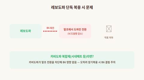 비타민B6 파킨슨병약 레보도파 말초 대사 촉진 원리 다이어그램