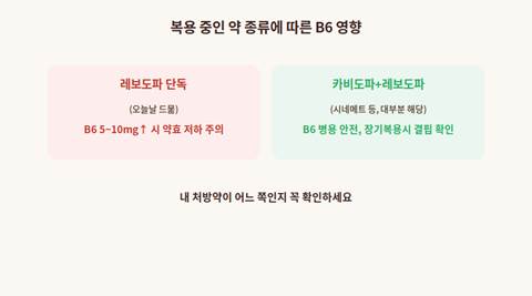 비타민B6 파킨슨병약 카비도파 병용 여부에 따른 영향 비교