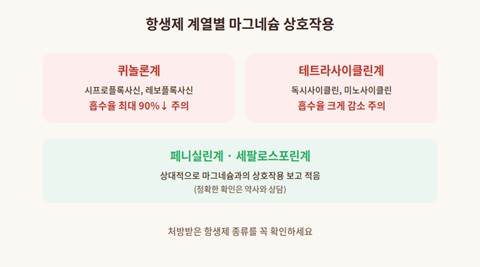 항생제 종류별 마그네슘 상호작용 비교